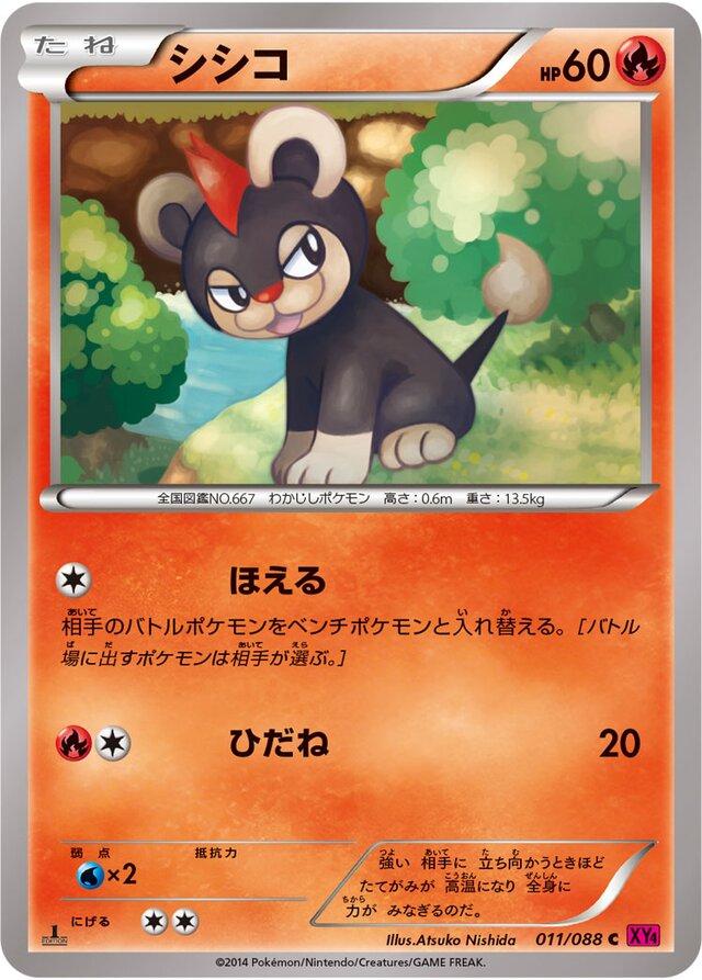 Litleo [1st-Edition]